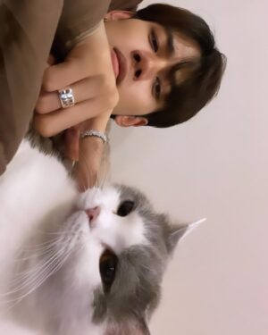 Suppacheep Chanapai Instagram - จะนอนด้วยหรือจะกวน เอาให้แน่ @chemiimeow