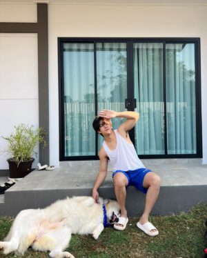 Surawit Ruangyod Instagram - รับไปเลี้ยงสักตัวมั้ยค้าบบ 🐶🦊🐻