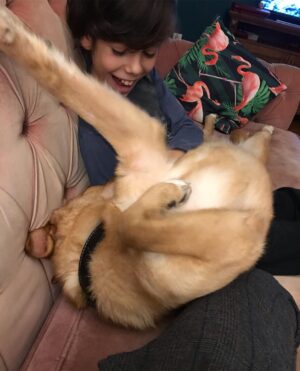 Süreyya Güzel Instagram - Kalbim