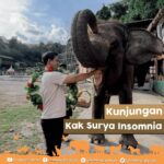 Surya Insomnia