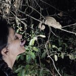 Susana Arrais