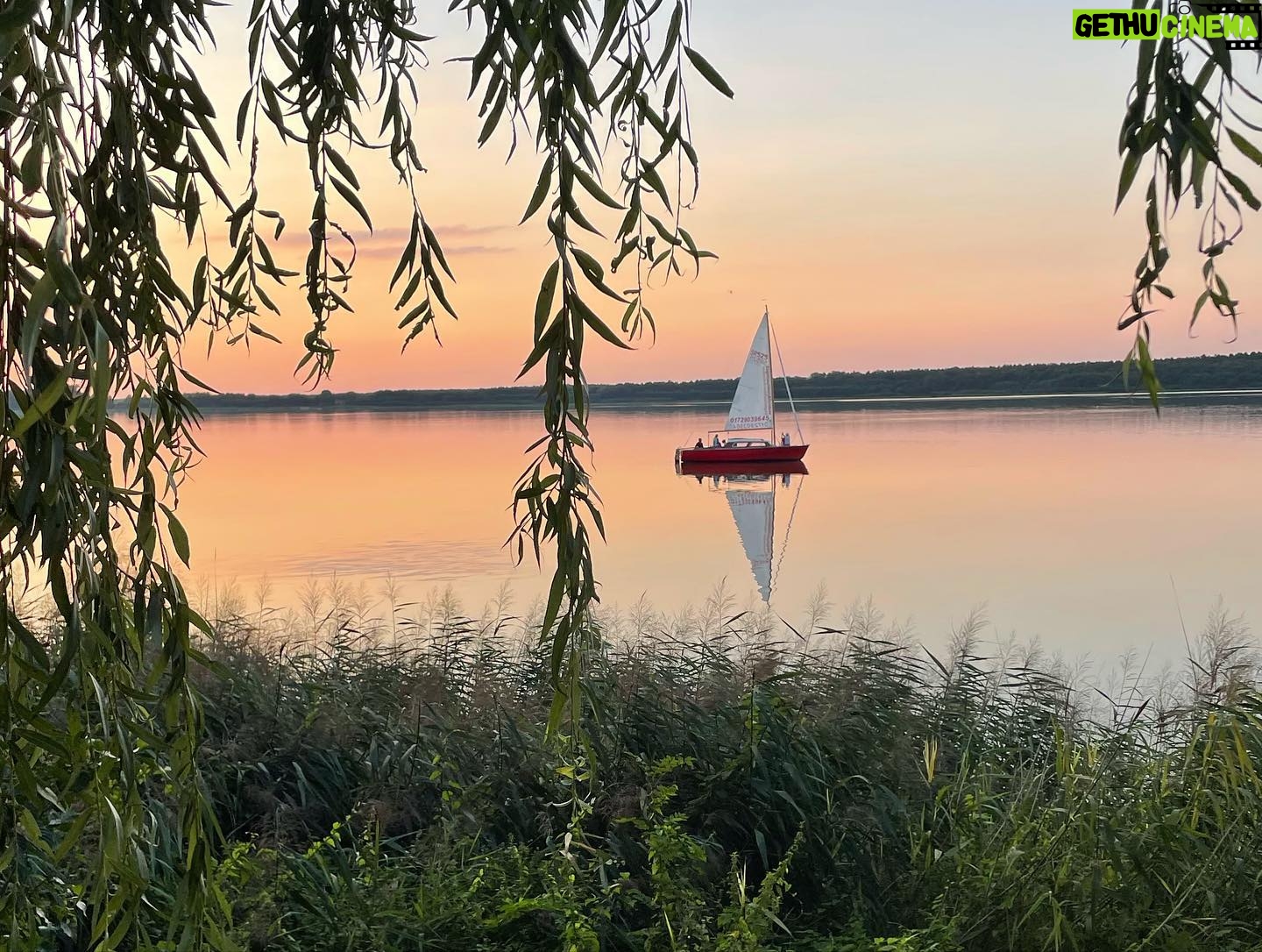 Susanne Wuest - 686 Likes - Summer āµļø
.
.
#summer #likechildhood #nature #photography #beautiful #break