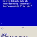 Suzanne Ciani