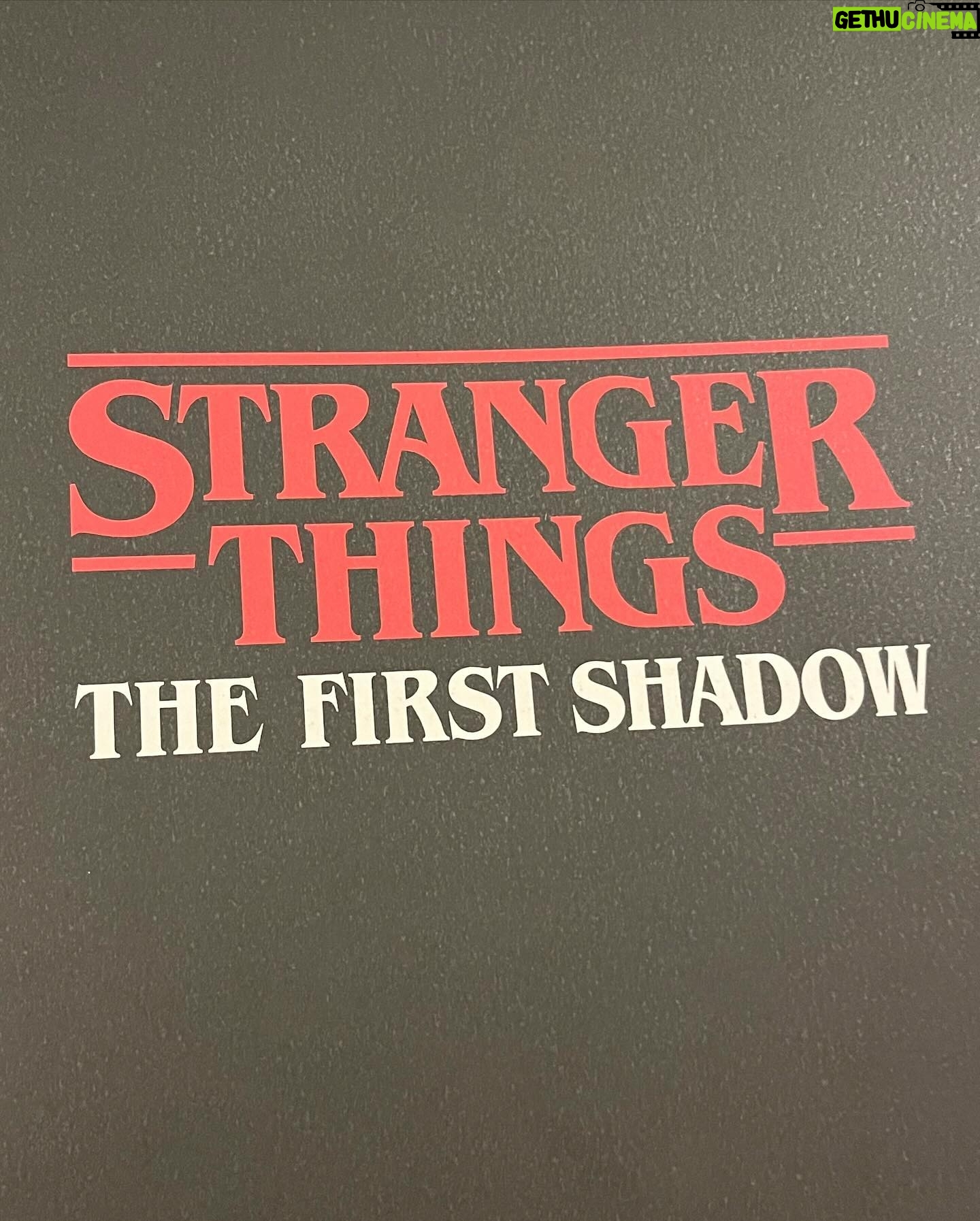 Sven de Ridder - 1.5K Likes - Last night… Stranger Things the first shadow. One of the best plays ever. Saw things on stage I’ve never seen before. Great story, awesome cast and extraordinary technical achievements.
Happy daughter & happy dad.
@stonstage
#strangerthingsthefirstshadow #onstage #prequel #mustsee #bestintown #fatherdaughtertime #london