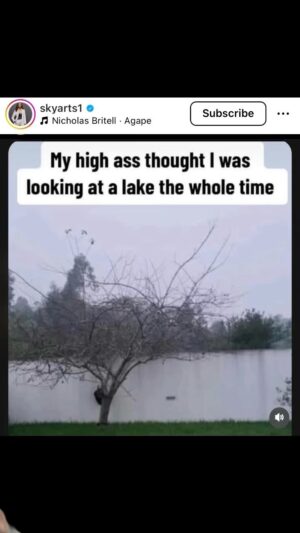Sydney Castillo Instagram - This stressed me out for a whole day!!!! 

If you don’t see a lake, then u love Trump. It’s no other way around it.