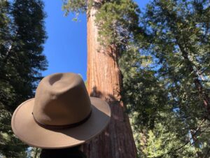 Sydney Viengluang Instagram - Gone fishin! Went off the grid for a bit to visit the Giant Sequioas and Hume Lake. Didn’t catch anything but was happy to visit one of my favorite childhood pastimes with my late grandpa 🎣🌲

#sequoia #sequoianationalpark #kingscanyon #camping #naturelovers #travel #adventure