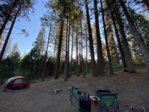 Sydney Viengluang Instagram - Gone fishin! Went off the grid for a bit to visit the Giant Sequioas and Hume Lake. Didn’t catch anything but was happy to visit one of my favorite childhood pastimes with my late grandpa 🎣🌲

#sequoia #sequoianationalpark #kingscanyon #camping #naturelovers #travel #adventure