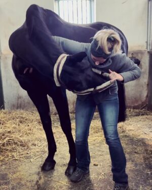 Szonja Oroszlán Instagram - Ez egy egy ilyen nyakatekert business 🤪🐴💙 Nem törtem ki a nyakát, viszont sokkal jobb lett neki 🙏 @mastersonmethod Szeretem a munkám. Làthatólag Halesta js szeret engem. Remélem 😂 @mira.dicso #mastersonmethod #horsetherapy #equinebodywork #scapulawork #funnypose #horsesofinstagram #dressage Köszi a képeket @barbaramuranyi