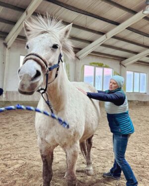 Szonja Oroszlán Instagram - Nyugalom, fókusz, figyelem, megértés, szándék, kérés, segítség és legfőképp szeretet. Ezek a lovas hivatásom alappillérei. Lepke karácsonyra Masterson Method manuálterápiát kapott a csodás gazdiktól. Hálás is volt érte ❤️🦋🙏 Köszönöm a lehetőséget és a csodás fotókat @olahzsofimakeup #lepke #notmyhorse @mastersonmethod #mastersonmethod #bodywork #hordetherapy #funjob #horses #healthyhorses