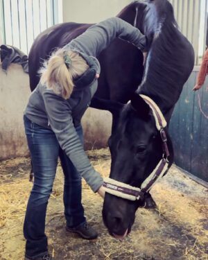 Szonja Oroszlán Instagram - Ez egy egy ilyen nyakatekert business 🤪🐴💙 Nem törtem ki a nyakát, viszont sokkal jobb lett neki 🙏 @mastersonmethod Szeretem a munkám. Làthatólag Halesta js szeret engem. Remélem 😂 @mira.dicso #mastersonmethod #horsetherapy #equinebodywork #scapulawork #funnypose #horsesofinstagram #dressage Köszi a képeket @barbaramuranyi