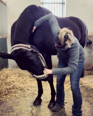 Szonja Oroszlán Instagram - Ez egy egy ilyen nyakatekert business 🤪🐴💙 Nem törtem ki a nyakát, viszont sokkal jobb lett neki 🙏 @mastersonmethod Szeretem a munkám. Làthatólag Halesta js szeret engem. Remélem 😂 @mira.dicso #mastersonmethod #horsetherapy #equinebodywork #scapulawork #funnypose #horsesofinstagram #dressage Köszi a képeket @barbaramuranyi