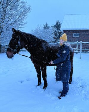 Szonja Oroszlán Instagram - Happy Holidays 🐴❄️🌨️ #myhorse #daniel #holidays #snowday