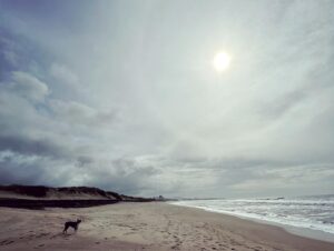 Szonja Oroszlán Instagram - Napsütés, víz, homok, levegő, kutya. 🌞🌊🙏 #ninja #dogniece #chillin #sunshine #outdoors #dogwalking #ocean #beach #freshair