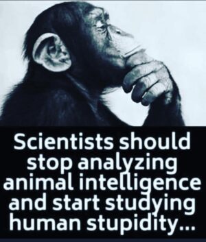 T.J. Lavin Instagram - Anyone agree? Saw this from @snoopdogg & couldn’t agree more