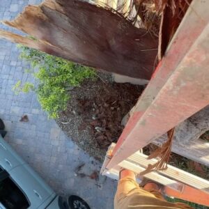 T.J. Lavin Instagram - Day one of palm skinning in the books.. this stuff is hard AF. Only about 100 more or so to go.. no worries haha😂🤙