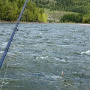 TJ Dillashaw Instagram - What an amazing weekend at a magical place @spottedbearranch with great people! Fly fishing for bull trout is a must.