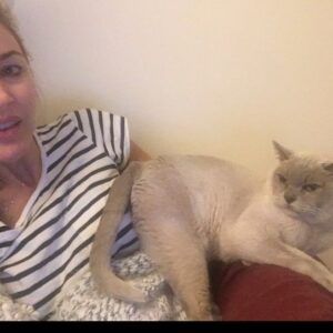 Tabrett Bethell Instagram - Happy 18th birthday to this Little Rock star ⭐️. Today is her birthday 🥳 
I remember driving you home for the first time to my little flat in Kings Cross. I remember my 23 yr old self going to collect you in my silver holden barina with my jet black hair, red hoodie and skinny jeans and walking into a sea of little lilac Burmese everywhere and saying to my friends who came with me, “ how do I choose” ?? The breeder saying “look at this little one at your feet, looking at you “and there you were waiting for me. Ready! 
From the moment I met you I knew my heart had been stolen , you have the ability to thaw out the iciest of hearts. You inspired many of my friends through the years wanting their version of a lilac Burmese Mischa but the thing is , there is only one you. My little soul mate, the loyal guardian. Remembering throughout the years laughing at  boyfriends of mine squabbling to be able to sleep with you in their arms but with determination keeping you in mine. You became my heart. My whole heart. You taught me selfless love. How was I to know back then at 23 I’d have 18 years living with such an enigmatic energy. A cat with her own international passport. A cat for me to adore for all of eternity.
There are so many people to thank for looking after you over the years… Evelyn , @drevil1149  omg, you Angel.  Thank you to you and your father for driving all the way from Arizona to LA to pick Mischa up to care for her all those months while I had to head back to Australia. You are an angel from heaven! @lauragordon____ & Nick Barkla for taking just wonderful  care of her in LA. @danielle_mcc for caring for her so beautifully. @julianmeagher for your care with her even though you are so allergic , she got in your heart though 😁.. Of course Matt C for teaching her naughty tricks and last but not least the worlds best vet , #bennyandthepets -Ben-@bennyandthepets for doing everything you could to help her and me in the last 12 months. So very Infinitely grateful. 
Happy birthday my darling little girl. 🥳🥳🥳🥳
I love you Mischa.. Forever and always. ❤️
Your body maybe gone but you are just everywhere.🤩🌈⭐️🙌