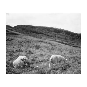 Tahj Mowry Instagram - Ireland in 35mm | shot by me