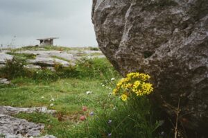 Tahj Mowry Instagram - Ireland in 35mm | shot by me