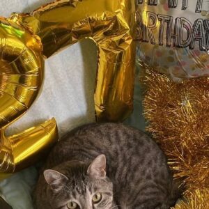 Takumi Kizu Instagram - 岐洲匠27歳
最高な仲間に祝って貰う。
#巌流島