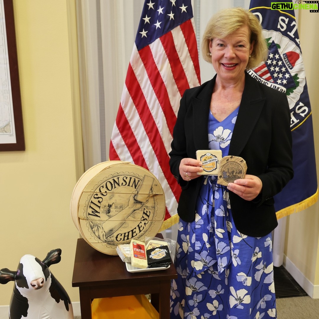 Tammy Baldwin - 356 Likes - Happy National Cheese Day! 🧀
This cheesehead is thankful for all our Wisconsin cheese producers and processors for their hard work making award-winning cheese that is second to none.