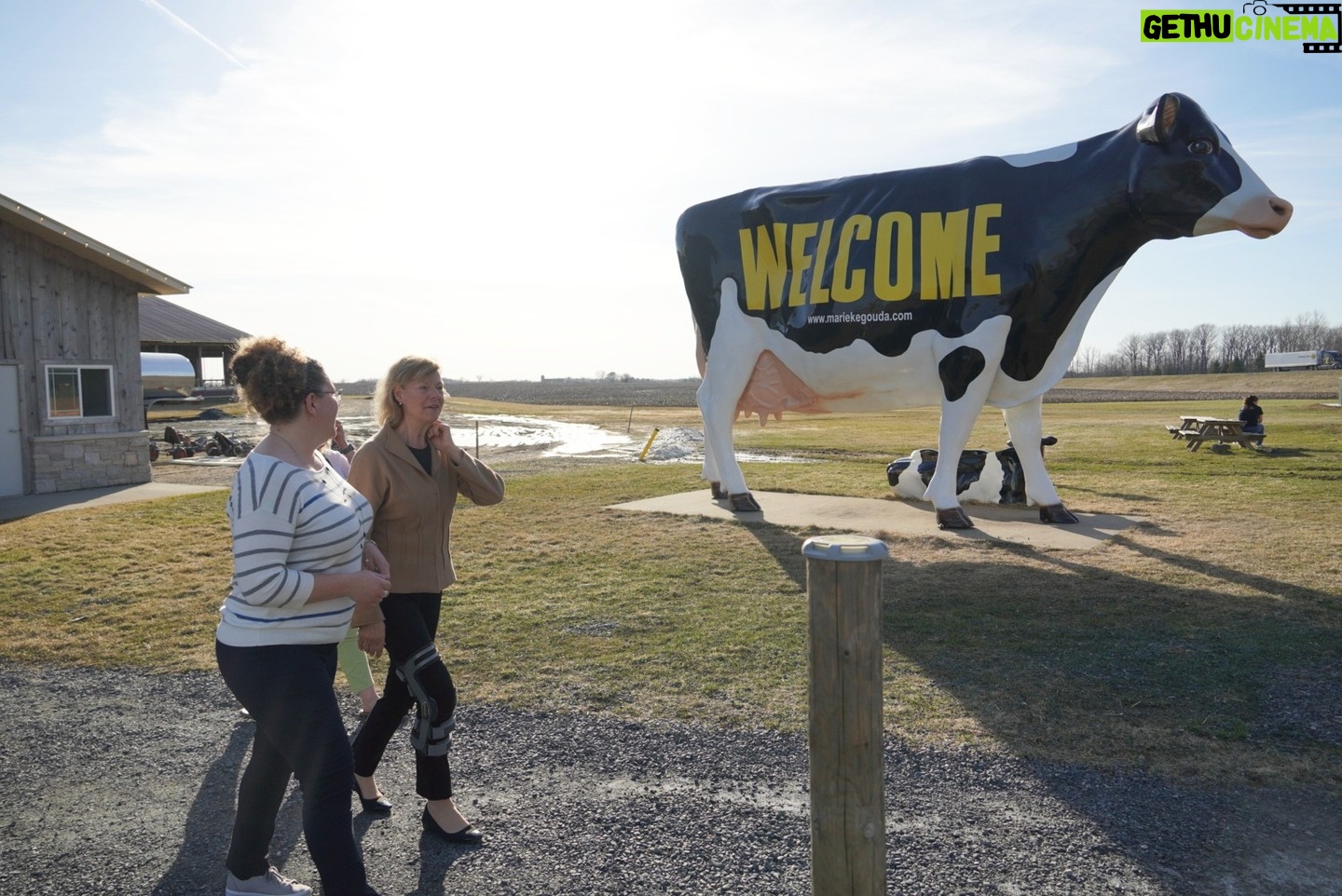 Tammy Baldwin - 237 Likes - While on the road, I just had to stop at
@mariekegouda in Thorp to get some delicious #MadeinWI cheese!š§
Thanks to my Dairy Business Innovation Initiative, dairy businesses like Marieke can access the resources they need to innovate & keep their businesses moo-ving forward!