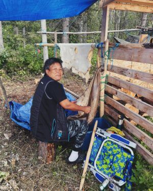 Tania Larsson Instagram - Had a wonderful week at the Mouse Camp outside of Fort Simpson tanning hides.

Qillu fleshed her hide with baby on her back sleeping soundly.
We helped Erin lace a large moosehide on a frame, and let it dry in the sun to be ready for scraping.
Ikajuut enjoying the shade in the bug tent.
Ethel’s hide all softened laced up on a frame blessed by a dragonfly.
Cathy scraping the water out of her hide so she can twist it.
Baby Ikajuut sleeping in his swing while Qillulaaq and Celine scrape her moosehide hide.
Earl monitoring camp after a bear stopped by to check it out.
Enjoying the sunset after a long hot day working on hides.

#moosehidetanning #denenahjo #liidliikuefirstnations