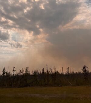 Tania Larsson Instagram - Praying for everyone to make it out safely of Yellowknife with the out of control wildfires so close to town 🙏🏽

Razelle, Phezuta and I left last week after our hide camp was shut down early due to the heavy smoke making it dangerous for us to work and stay outside. We drove down to Santa Fe for Indian Market and were welcomed early by @ataumbimetals who has been such a great support in these stressful times.

My dad and @isaacayiku10 made it out of town yesterday and it’s such a relief that my whole family is safe in Alberta.

Tears coming down my face as I write this post hoping to have a home to come back to and that everyone makes it out safely with the 20  hours drive to Calgary.

#yellowknife #denendeh #wildfires
