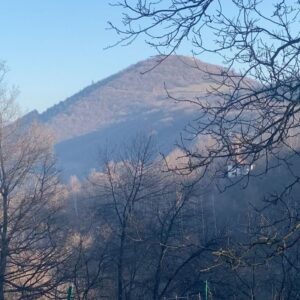 Tanja Ribič Instagram - I send you love from the sacred place.  Happy 2023 @drsemirosmanagic @bosnian.pyramid @parkravne2 #pyramidtrail