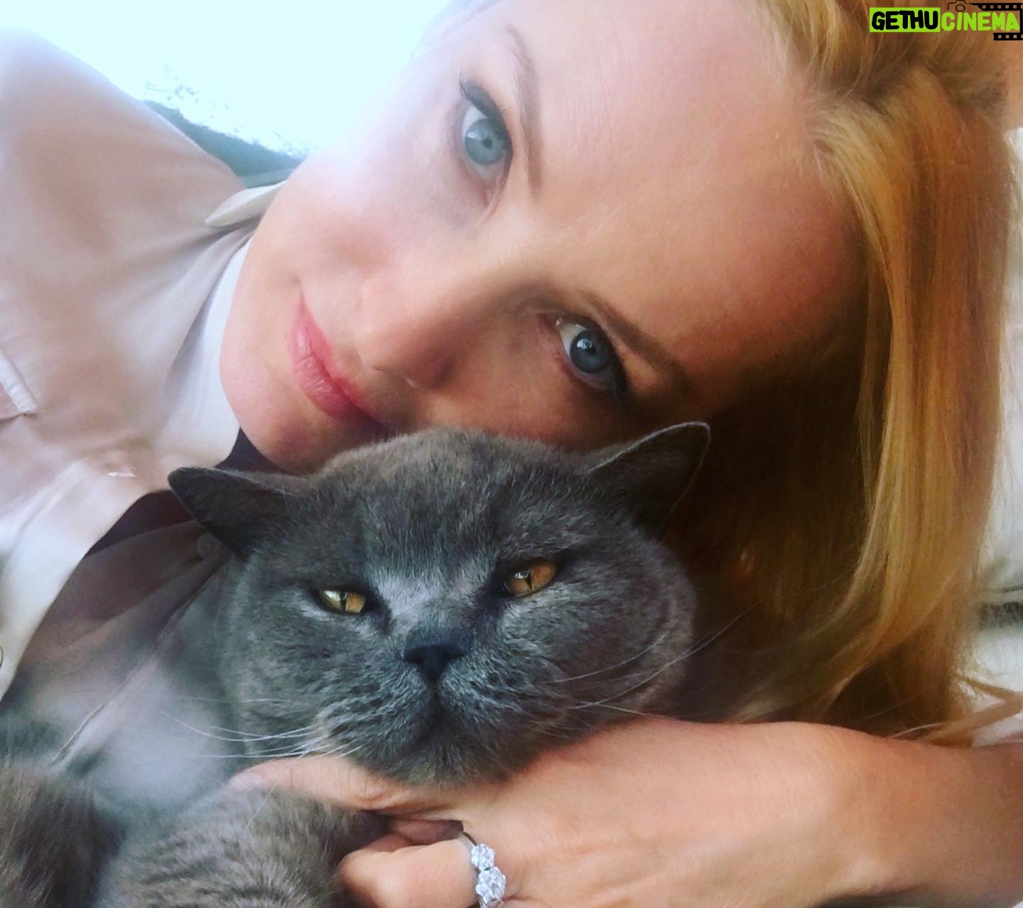 Tanja Ribič - 0.9K Likes - Zbogom, Bibi moj. Poljubčkaj mi Mikija. 🖤🩶
