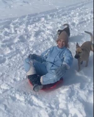 Tanja Ribič Instagram - Zima v vsej svoji lepoti. ❄️❤️ #winter #love #saveddogs #joy