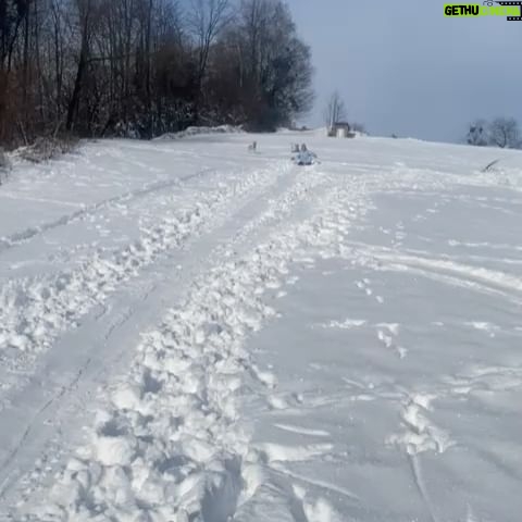 Tanja Ribič - 1.2K Likes - Zima v vsej svoji lepoti. ❄️❤️ #winter #love #saveddogs #joy