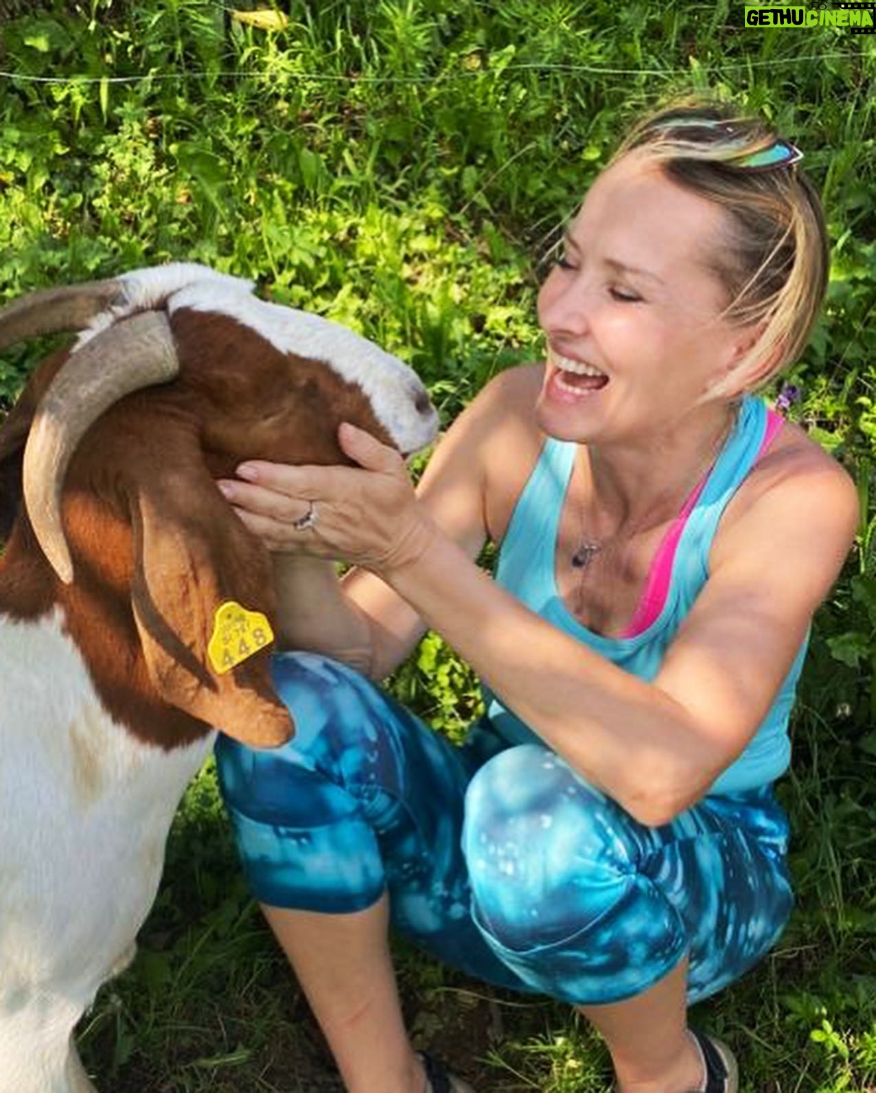 Tanja Ribič - 0.9K Likes - Kaj čem rečt…❤️#animallovers #goats #naturelovers