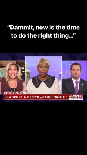 Tara Setmayer Instagram - “There’s a price to pay to do the right thing but dammit, now is the time. Our democracy is on the line…”

“We can’t wait for Trump to win again & then hope & pray  someone has the intestinal fortitude to actually stand up & stop him again. 

“Then it’s too late.”
@thereidout