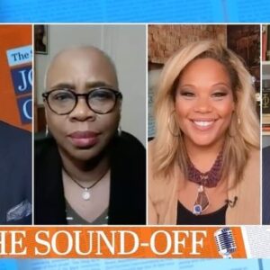 Tara Setmayer Instagram - I minced NO words on @msnbc 

Mike Pence doesn’t have the “testicular fortitude” to stand up to join Liz Cheney in her crusade to defeat Trumpism. I also reiterated @tarastikicat has a better chance at becoming POTUS than Pence. He’s delusional.