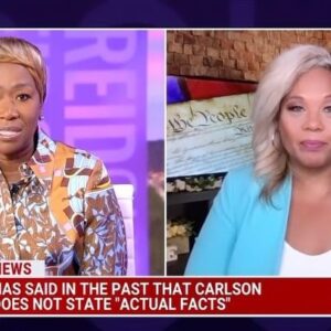Tara Setmayer Instagram - Good riddance Tuckems! I had a few things to say on @thereidout about #tuckercarlson firing from FoxNews.
