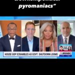 Tara Setmayer