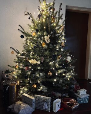 Tara Thaller Instagram - Merry Christmas, the best time of the year ❤️🎄