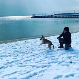 Tayanç Ayaydın Instagram - Ailemizin yeni ferdinin ilk kar deneyimi🥳❤️#roxy #hoşgeldin #wellcome #adoptdontshop #rescuedog #satınalmasahiplen 🤗