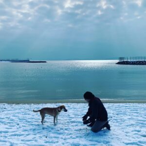 Tayanç Ayaydın Instagram - Ailemizin yeni ferdinin ilk kar deneyimi🥳❤️#roxy #hoşgeldin #wellcome #adoptdontshop #rescuedog #satınalmasahiplen 🤗