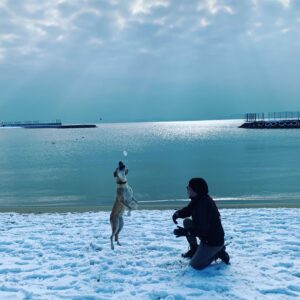 Tayanç Ayaydın Instagram - Ailemizin yeni ferdinin ilk kar deneyimi🥳❤️#roxy #hoşgeldin #wellcome #adoptdontshop #rescuedog #satınalmasahiplen 🤗