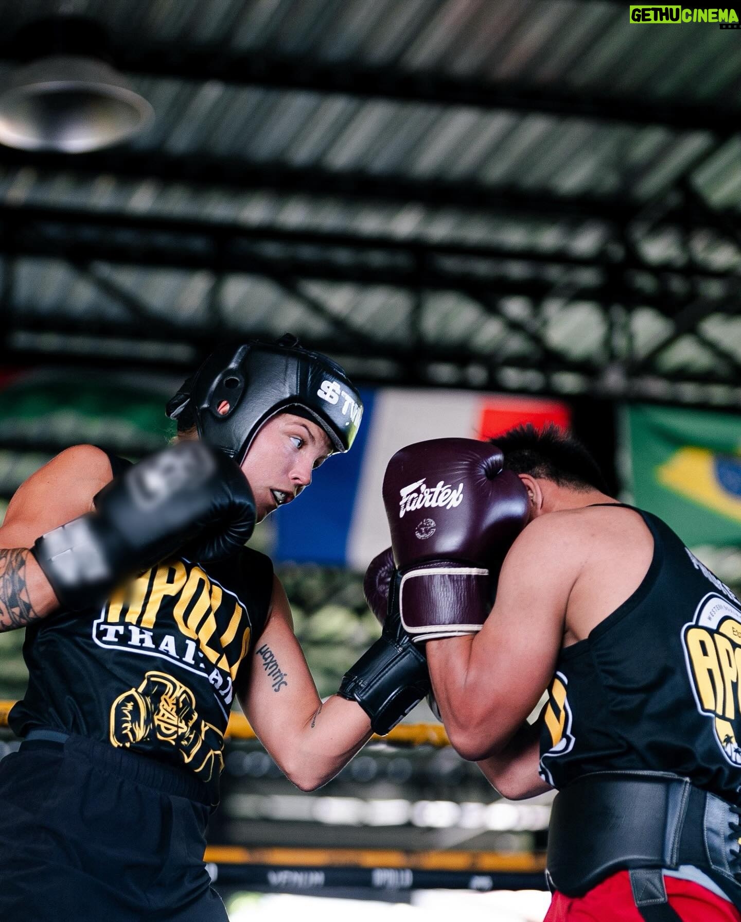 Taylah Robertson - 3 Likes - One task on my mind... world champion. @apollo_camp_thailand @premierboxingau
šø @onlydavies