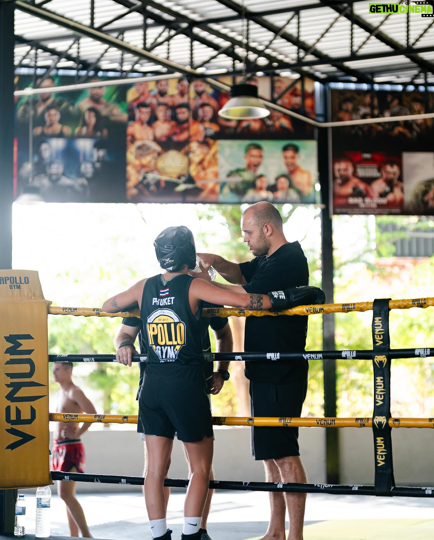 Taylah Robertson - 3 Likes - One task on my mind... world champion. @apollo_camp_thailand @premierboxingau
šø @onlydavies