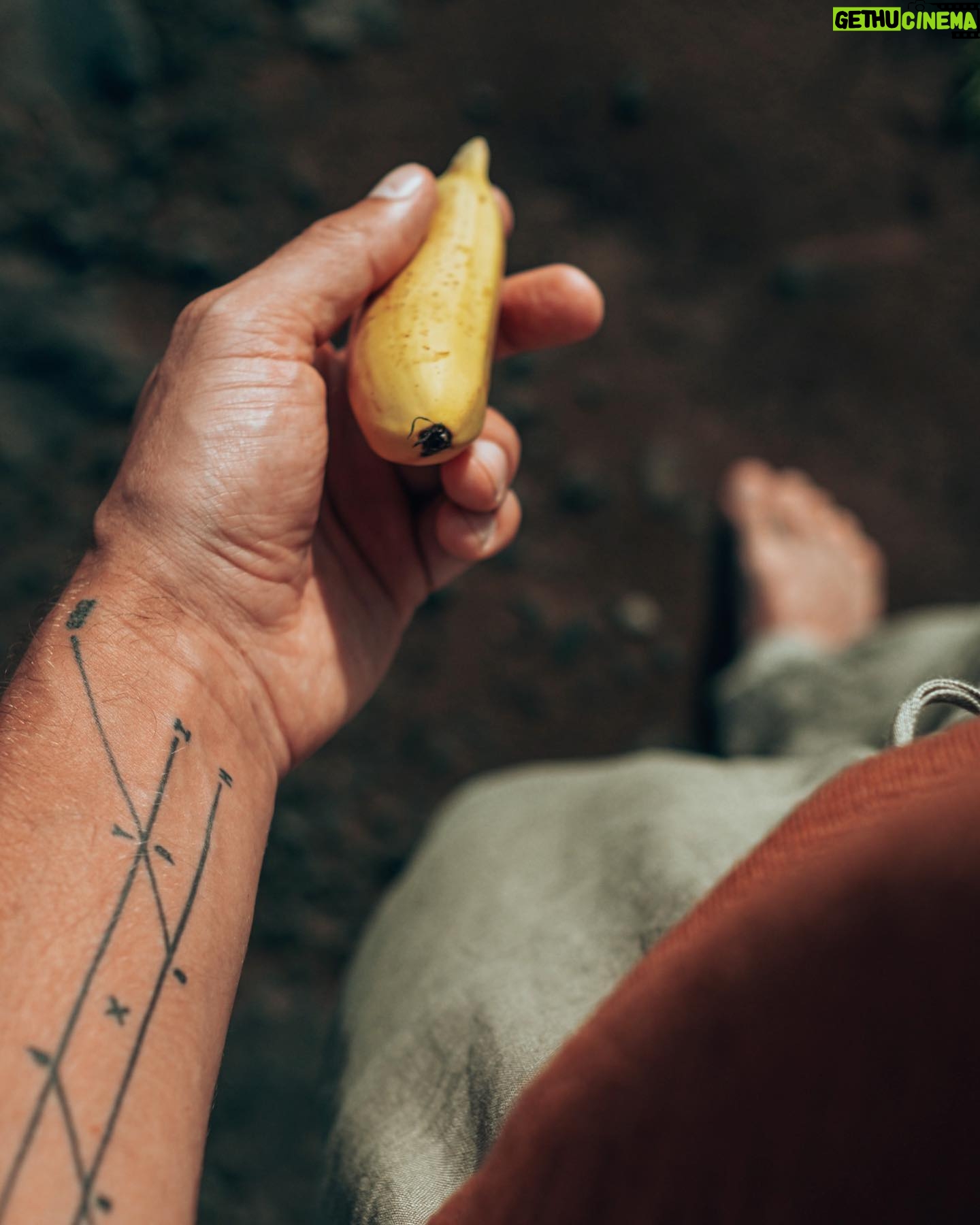 Taylor David - 1.8K Likes - They say never make eye contact while eating a banana — luckily, baby bananas can’t see yet.
Shot x @justinxshaw
#wanderisms #bananaettiquette #wanderman #minibanana #costarica #puravida #helvetica #moralcompass #lighthumour #alwayslookdown #bananapuns