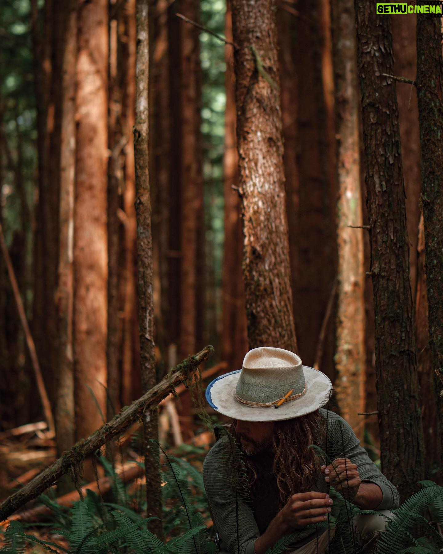 Taylor David - 1.4K Likes - Wander up to satisfy your soul, not society.
#wanderman #wanderup #breath #dudewithcup #findyourlight 📸 @jenboshan