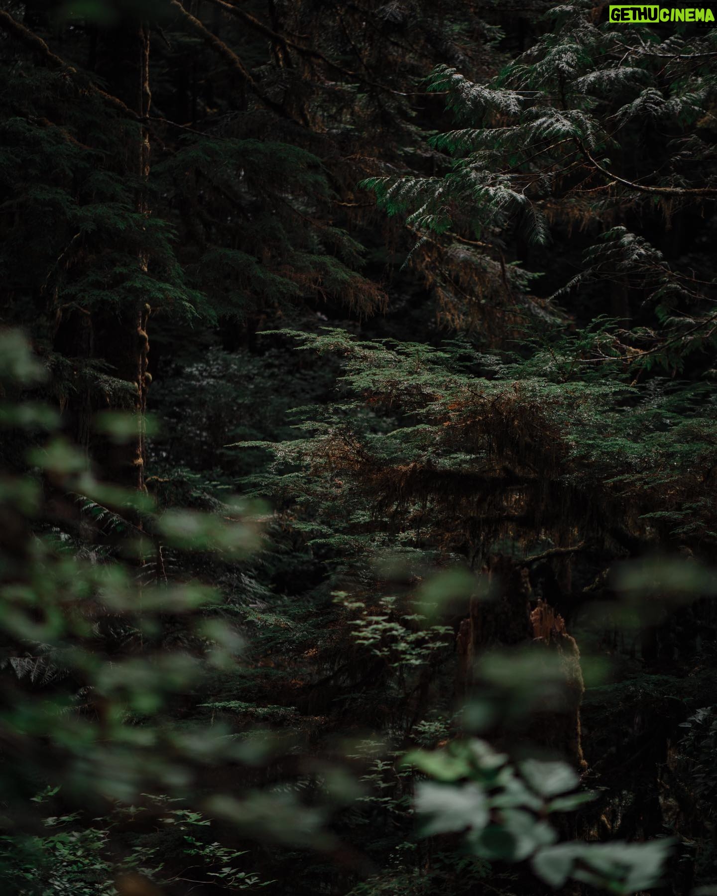 Taylor David - 1.4K Likes - Wander up to satisfy your soul, not society.
#wanderman #wanderup #breath #dudewithcup #findyourlight 📸 @jenboshan