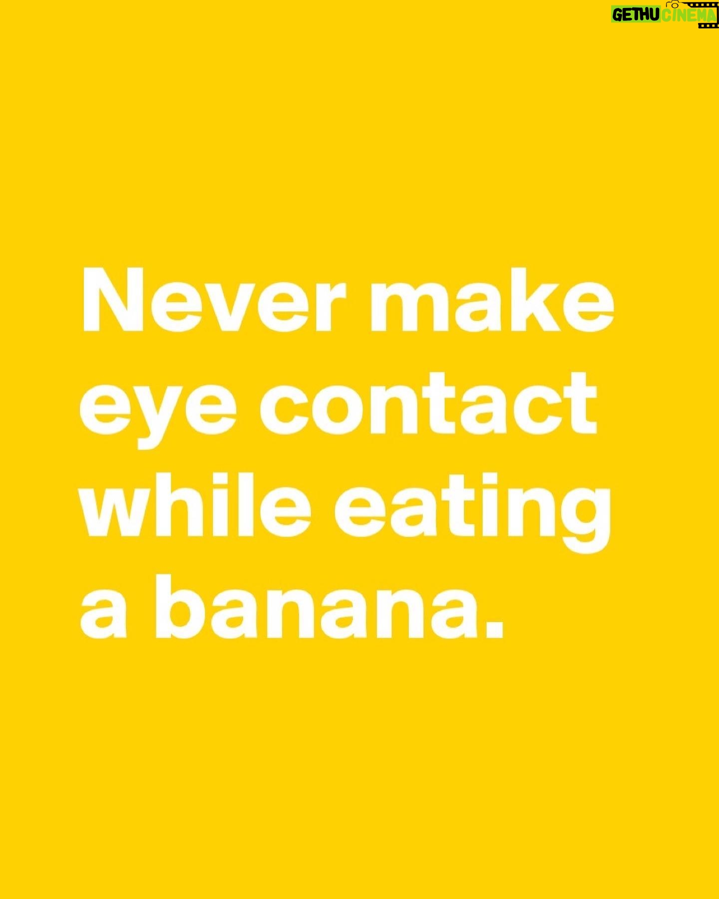 Taylor David - 1.8K Likes - They say never make eye contact while eating a banana — luckily, baby bananas can’t see yet.
Shot x @justinxshaw
#wanderisms #bananaettiquette #wanderman #minibanana #costarica #puravida #helvetica #moralcompass #lighthumour #alwayslookdown #bananapuns