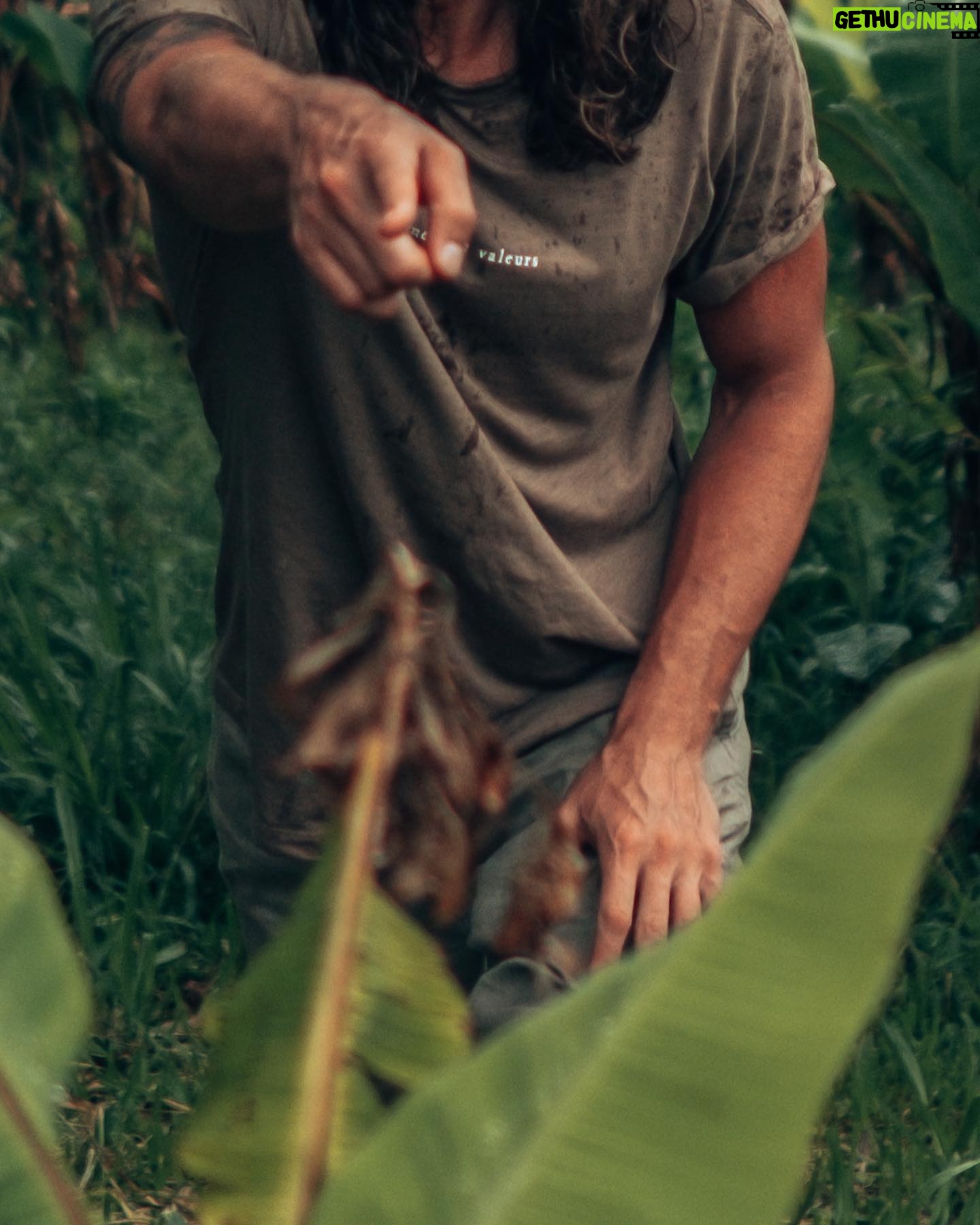 Taylor David - 2.4K Likes - Wander deep outside your change of values and watch the things you value change inside.
#changementdevaleur #wanderisms #wanderman #jungle #costarica #vincent #zoomout #smplfy #puravida #fujifilm
Shot @justinxshaw
Hat @coup_de_tete #TheVincent