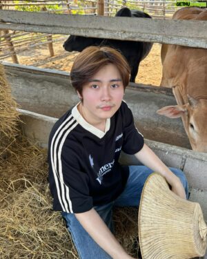 Techit Panyanarapon Instagram - 🐂🏠