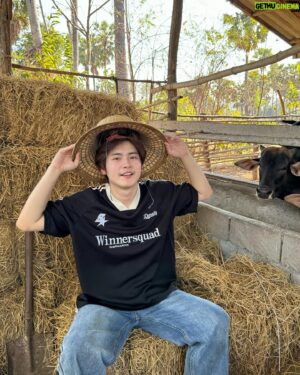 Techit Panyanarapon Instagram - 🐂🏠